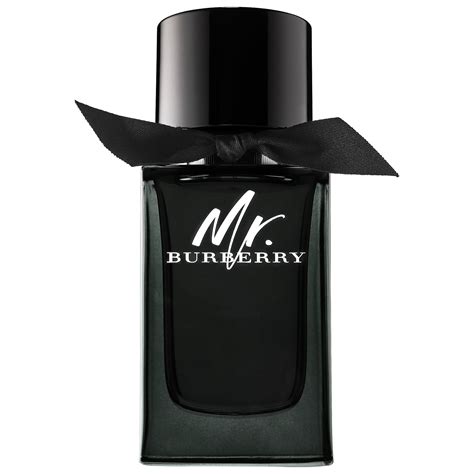 mr burberry eau de perfum spray 3 oz|burberry perfume for men's price.